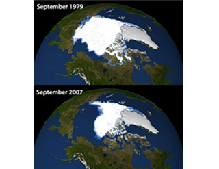여름철 북극 빙하 비교